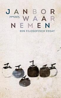 Waarnemen -  Jan Bor (ISBN: 9789044655247)