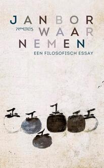 Waarnemen -  Jan Bor (ISBN: 9789044655254)