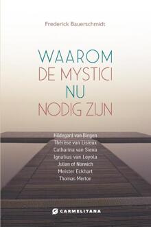 Waarom de mystici nu van belang zijn - Frederick Bauerschmidt (ISBN: 9789492434425)