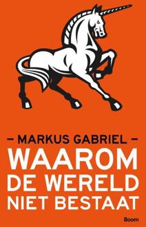 Waarom de wereld niet bestaat - Boek Markus Gabriel (9089532714)