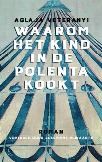 Waarom het kind in de polenta kookt - Aglaya Veteranyi - ebook