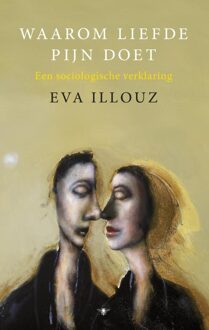 Waarom liefde pijn doet - eBook Eva Illouz (9023493176)