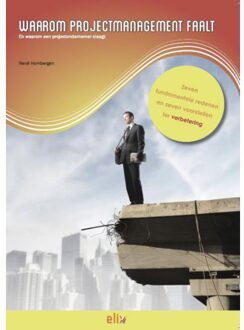 Waarom projectmanagement faalt - Boek René Hombergen (9082030829)
