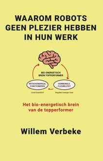 Waarom robots geen plezier hebben in hun werk - Willem Verbeke - ebook