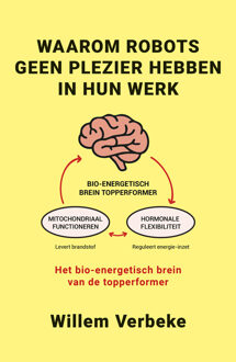 Waarom robots geen plezier hebben in hun werk -  Willem Verbeke (ISBN: 9789493202573)