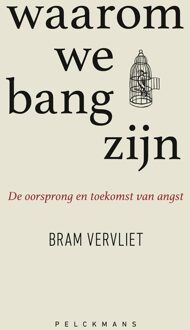 Waarom we bang zijn - Bram Vervliet - ebook