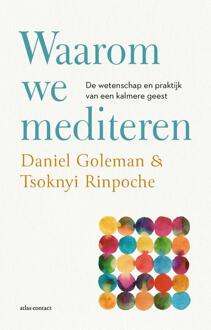Waarom we mediteren -  Daniël Goleman, Tsoknyi Rinpoche (ISBN: 9789045045122)