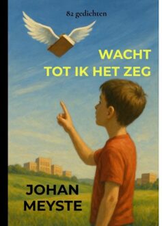 Wacht Tot Ik Het Zeg - Johan Meyste