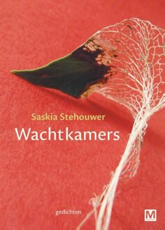 Wachtkamers - eBook Saskia Stehouwer (9460688829)