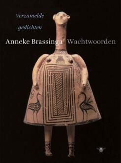 Wachtwoorden - Boek Anneke Brassinga (9023492803)