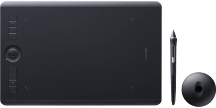Wacom INTUOS PRO LARGE