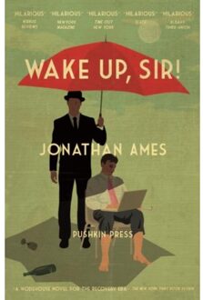 Wake Up, Sir! - Jonathan Ames