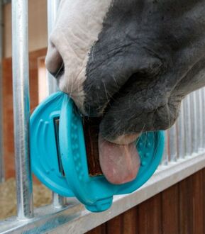 Waldhausen Bizzy Ball - Liksteenhouder - Aqua