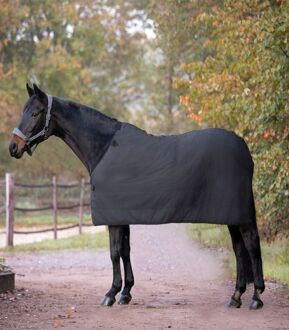 Waldhausen Economic Fleece - Staldeken - Paardendeken - 215 cm - Zwart
