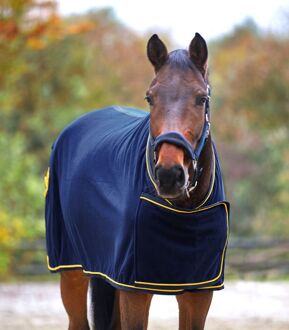 Waldhausen Sponsor - Zweetdeken - Paardendeken - 205 cm - Blauw