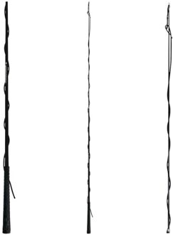 Waldhausen Telescopisch - Longeerzweep - Zwart