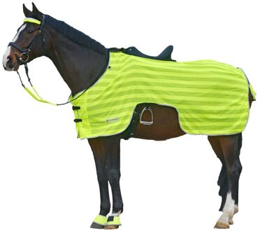 Waldhausen Uitrijdeken - Reflecterend - Paardendeken - 195 cm