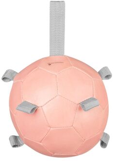 Waldhausen Wortelbal - ø 18 cm - Roze