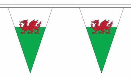 Wales versiering vlaggenlijn 5 m
