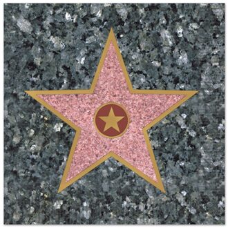 Walk of Fame servetten 25 x 25 cm - Feestservetten Multikleur