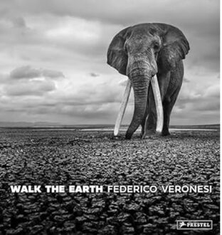 Walk The Earth - Federico Veronesi