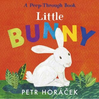Walker Books Little Bunny (Board Book) - Petr Horacek
