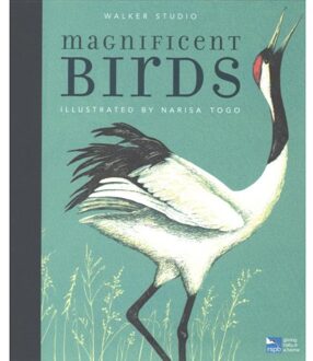Walker Books Magnificent Birds