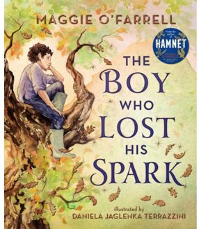 Walker Books The Boy Who Lost His Spark - Maggie O'Farrell