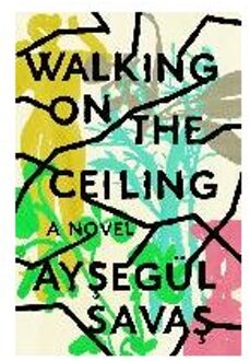 Walking on the Ceiling