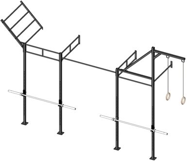 Wall Mount Crossfit Rig V13-4