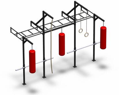 Wall Mount Crossfit Rig V18