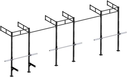 Wall Mount Crossfit Rig V19-2