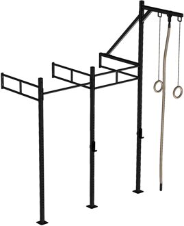 Wall Mount Crossfit Rig V25
