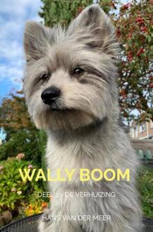 Wally Boom -  Hans van der Meer (ISBN: 9789465120942)