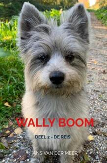 Wally Boom -  Hans van der Meer (ISBN: 9789465120997)