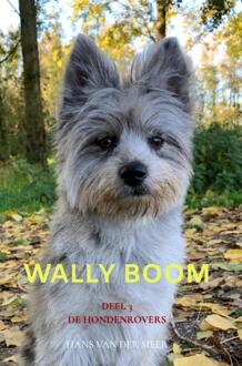 Wally Boom -  Hans van der Meer (ISBN: 9789465121017)