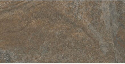 wand- en vloertegel - 60x120cm - 10mm - Rechthoek - gerectificeerd - Betonlook - Bruin mat SW07310655-1 Walnut