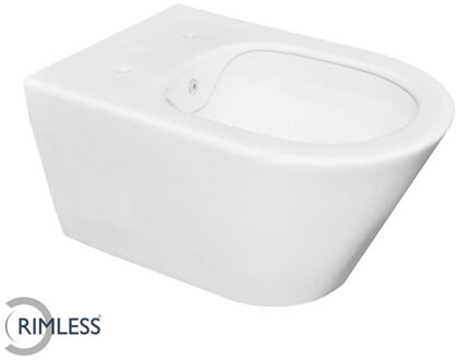 Wandcloset Wiesbaden Luxe Rimless 53 cm Inclusief Bidet-functie Mat Wit