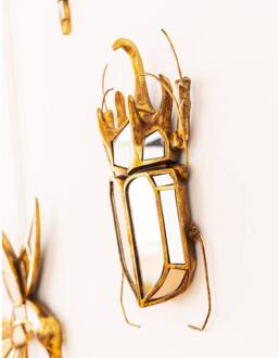 Wanddecoratie Beetle Mirror