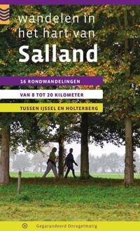 Wandelen in het hart van Salland - Boek Maarten Metz (9078641312)