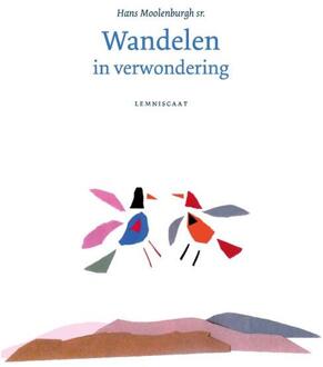 Wandelen in verwondering - Boek Hans Moolenburgh Sr. (9047707699)