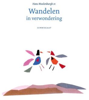 Wandelen in verwondering - Boek Hans Moolenburgh Sr. (9047707699)