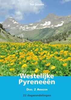 Wandelgids Westelijke Pyreneeën / 2 Aragon - Boek Ton Joosten (9038925220)