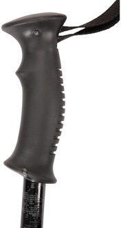 Wandelstokken (Grijs)