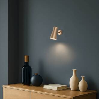 Wandlamp Lotta, goudkleurig, spot, staal, verstelbaar