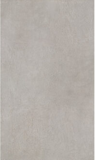 Wandpaneel Isodeco Alejandria Stone 120x260 cm SPC Mat Medium Grijs Isodeco