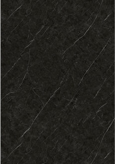 Wandpaneel Isodeco Black Trevore 120x260 cm SPC Mat Zwart Isodeco