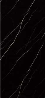 Wandpaneel Isodeco Nero Marquina 120x260 cm Waterbestendig Hoogglans Carrara Black Isodeco