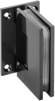 Wandscharnier 2 stuks PVD gunmetal geborsteld Wit Chroom