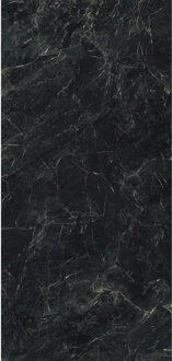 Wandtegel Alpi Green 120x260 cm Gepolijst Zwart Marmerlook - Wandtegel Alpi Green 120x260 cm Gepolijst Zwart Marmerlook (prijs Per Tegel)